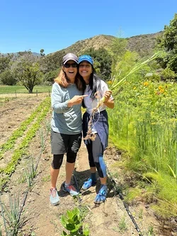 Dr. Ahmed (2024) with attending Dr. Feldman enjoying fresh California produce 